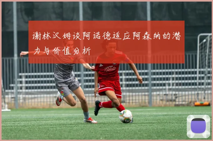 谢林汉姆谈阿诺德适应阿森纳的潜力与价值分析